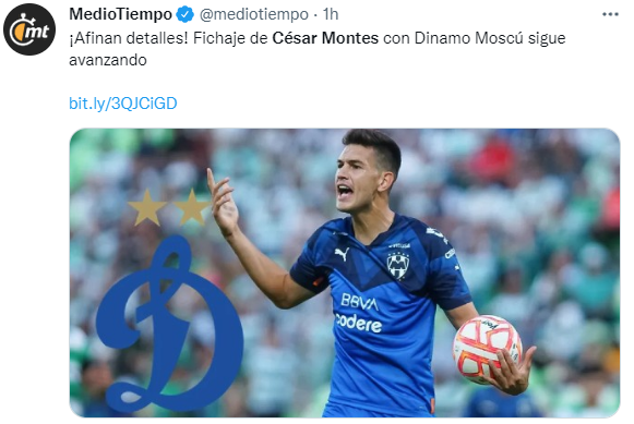 Cachorro se acercaría a Rusia. (@mediotiempo)