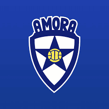 O Amora FC tem uma estrela solitária no escudo (Foto: Reprodução/Facebook/Amora FC)