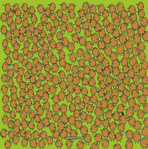 El retp viral del día.