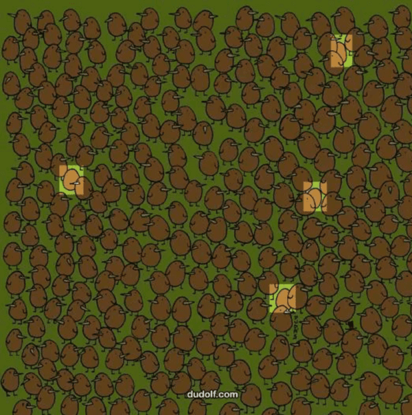 La solución del desafío