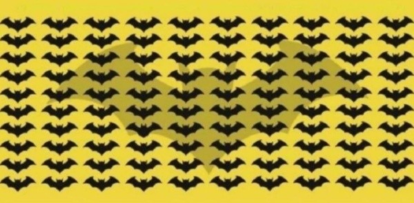 Descubre cuál es el murciélago DIFERENTE en 10 segundos