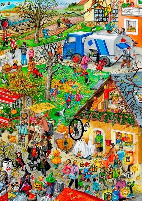 Respuesta al Desafio Viral