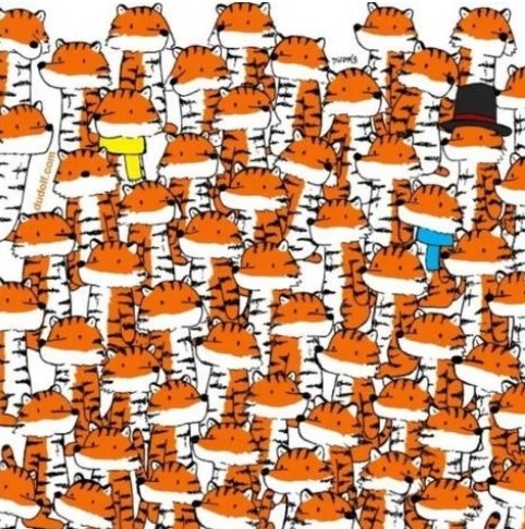 Descubre los cuatro gatos que están ocultos entre los tigres