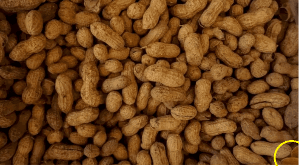 Respuesta al Desafío Viral