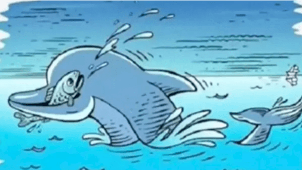 Descubre el animal que se puede ver aparte del pez y el delfín