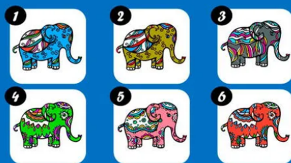 Elige un elefante y averigua lo que pasará en el futuro