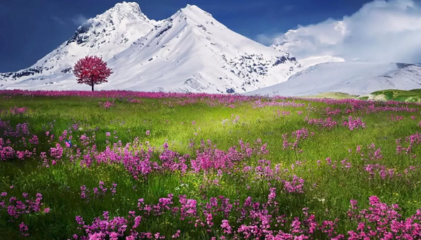 Descubre a la mariposa OCULTA en la imagen en 8 segundos