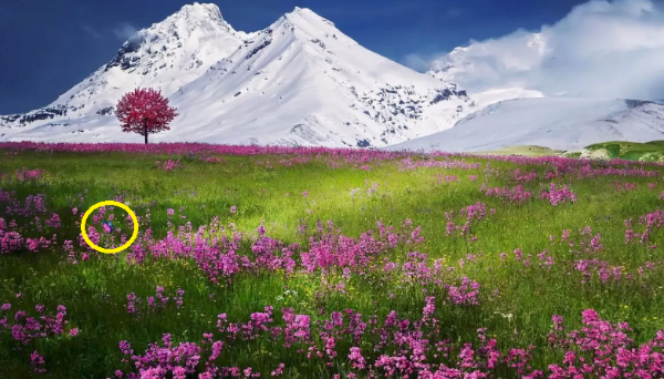 Respuesta al Desafío Viral