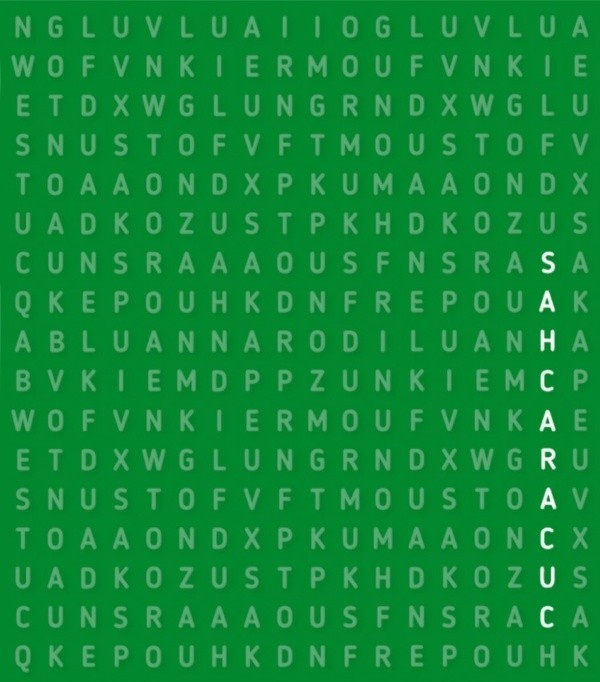 Aquí está la palabra CUCARACHAS.