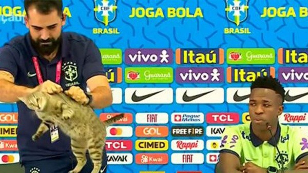 El jefe de prensa de Brasil saca a un gato con modales que generaron muchos comentarios (O Globo)