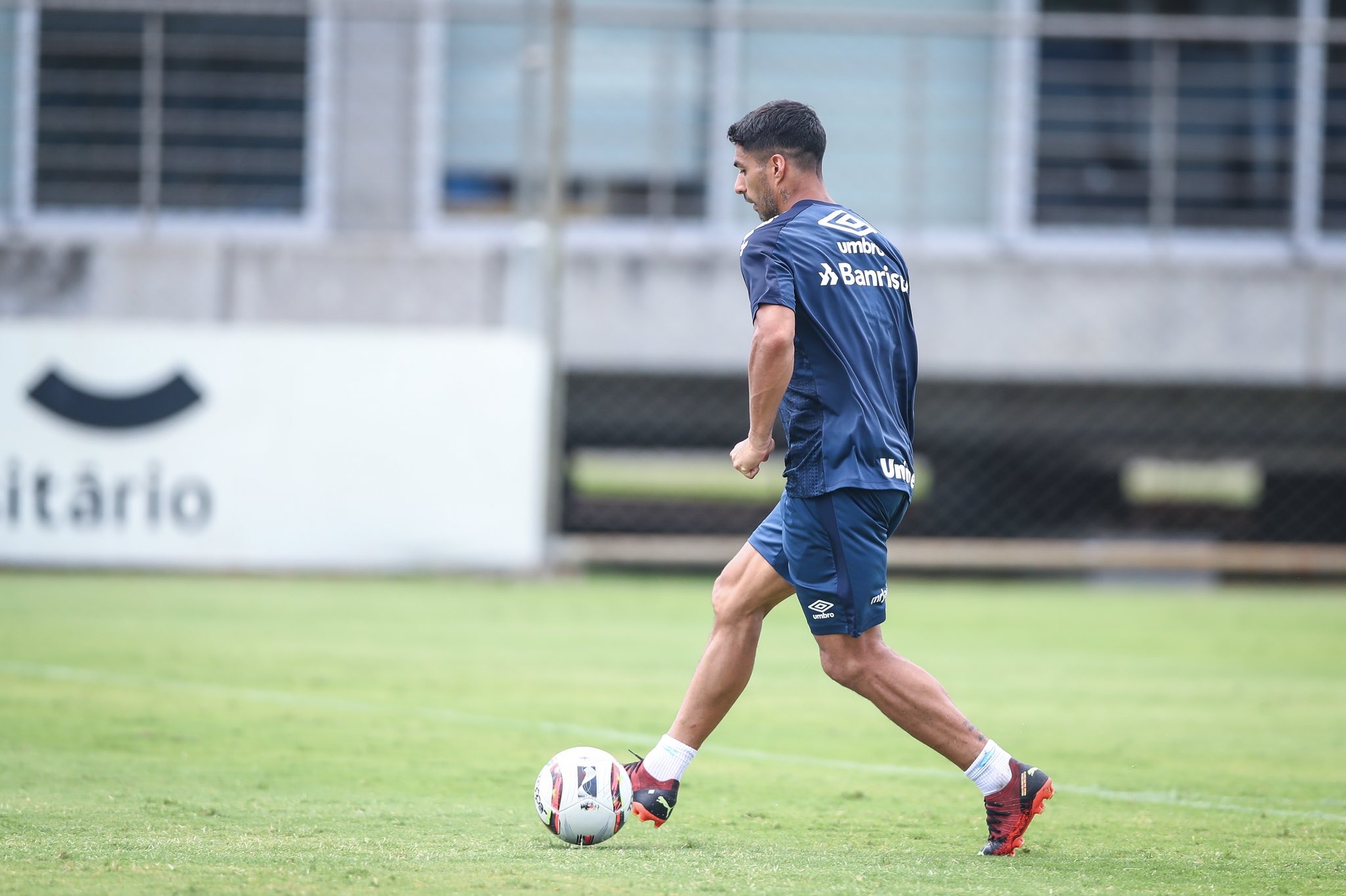 Luis Suárez en entrenamiento con Gremio. Getty.