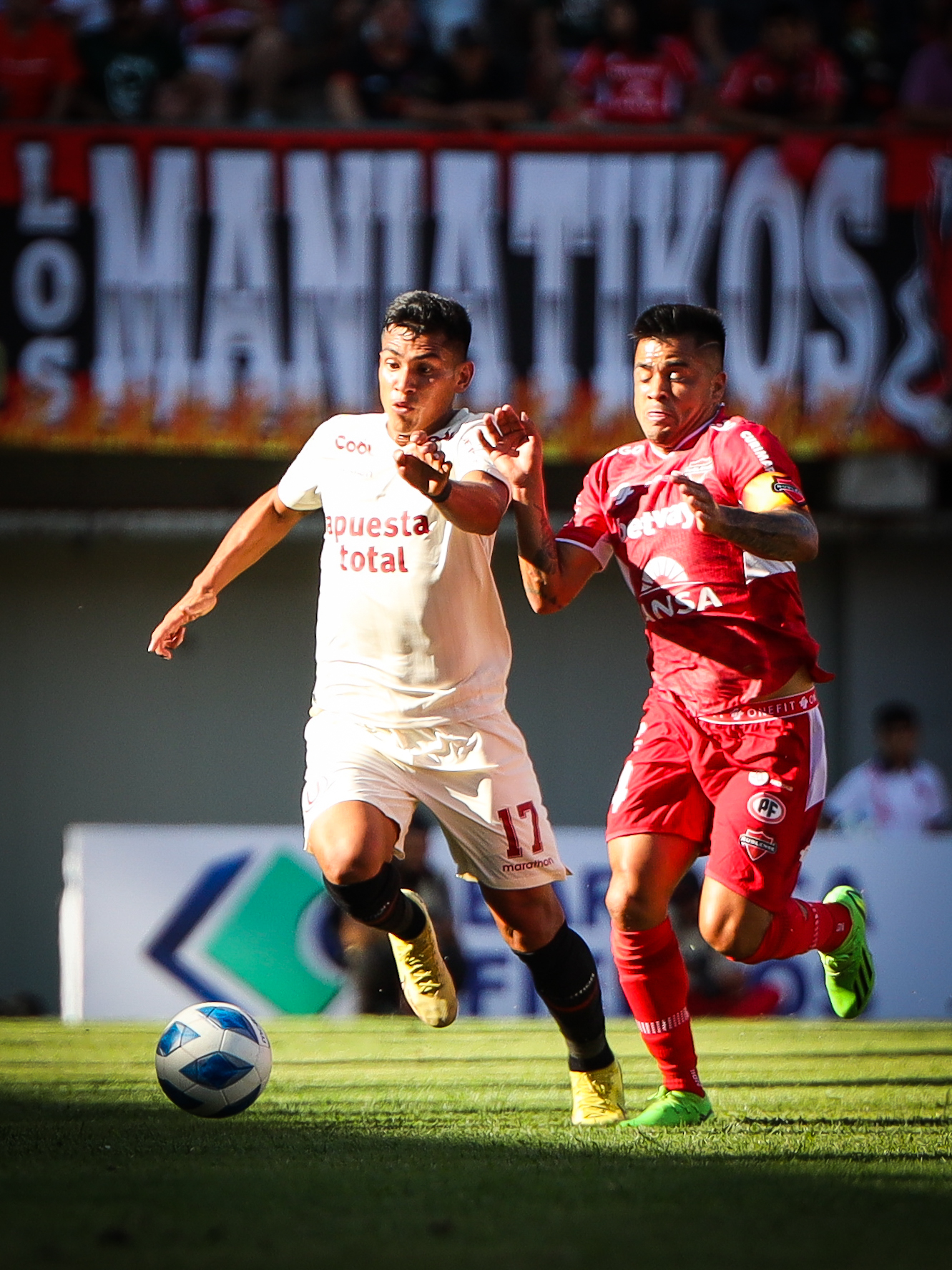 Foto: Prensa Universitario.