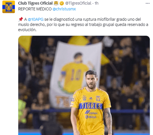 Twitter: @TigresOficial