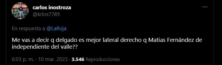 Hinchas La Roja Matías Fernández