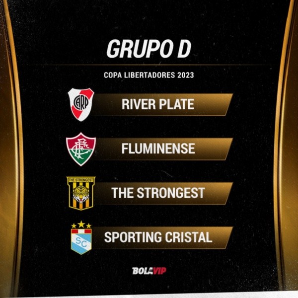 El grupo de River en la Libertadores.