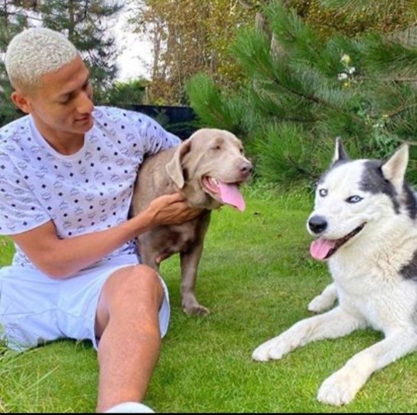 Richarlison, junto a sus perras Layla y Acerola (Instagram @acerolahusky)
